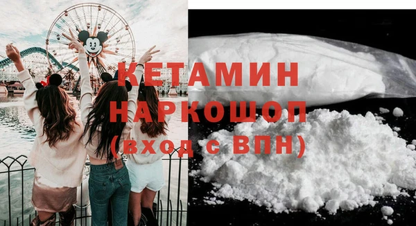 таблы Болотное