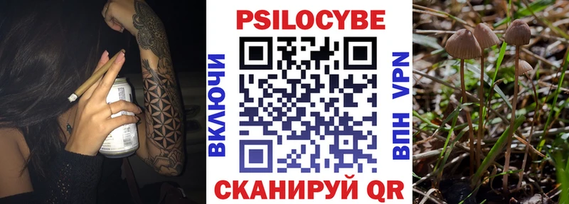 Галлюциногенные грибы Psilocybe где продают мега маркетплейс Инза